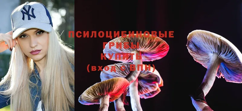 купить закладку  Исилькуль  Псилоцибиновые грибы Psilocybe 